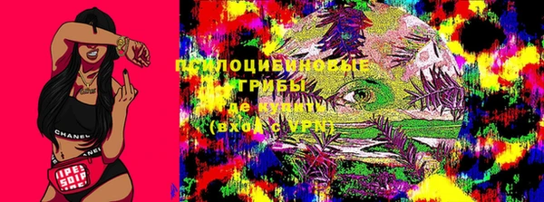 эйфоретик Липки