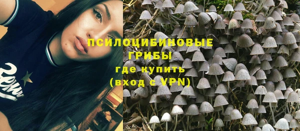 эйфоретик Липки