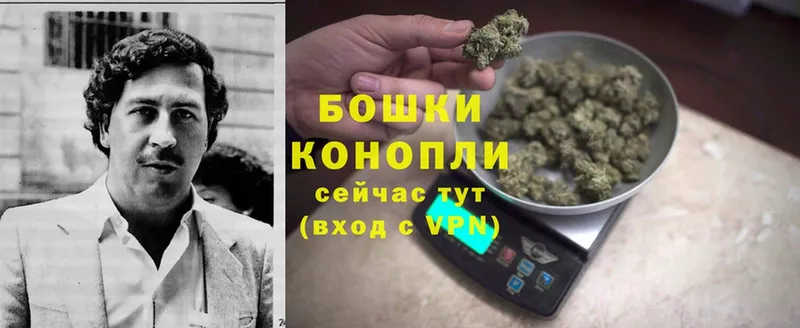 Шишки марихуана Bruce Banner  гидра как зайти  Льгов 